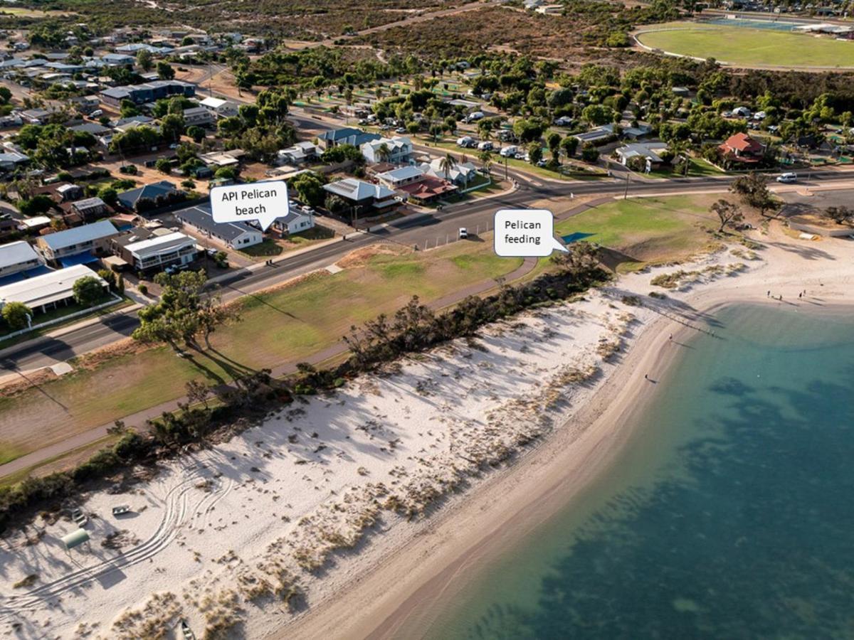 Api Pelican Beach Front Apartments Kalbarri Esterno foto
